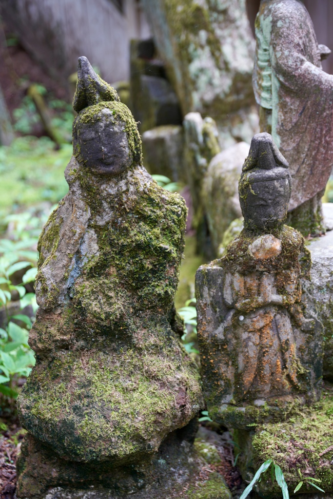 苔のむすまで。 by Knack Zauber （ID：13587741） - 写真共有サイト