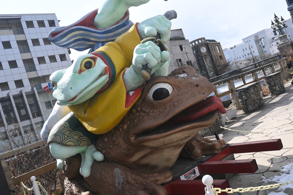 蛙