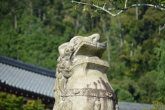 清水寺の狛犬