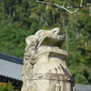 清水寺の狛犬