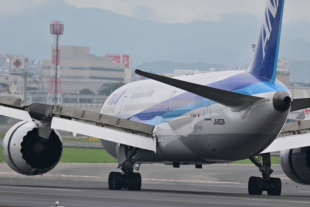 ANA