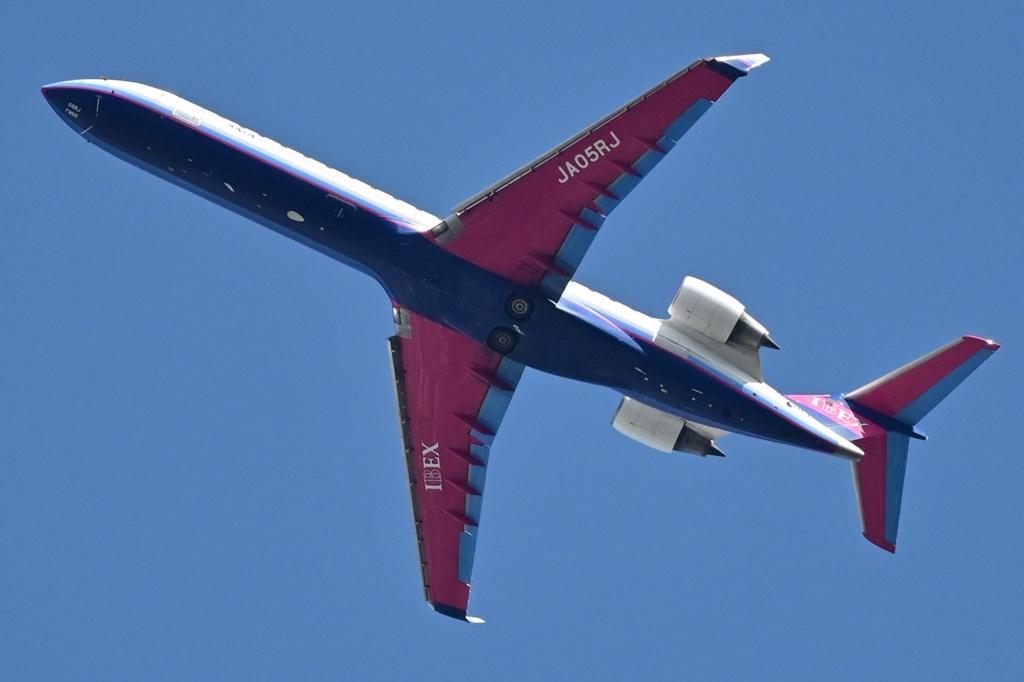 飛行機