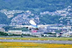 ANA
