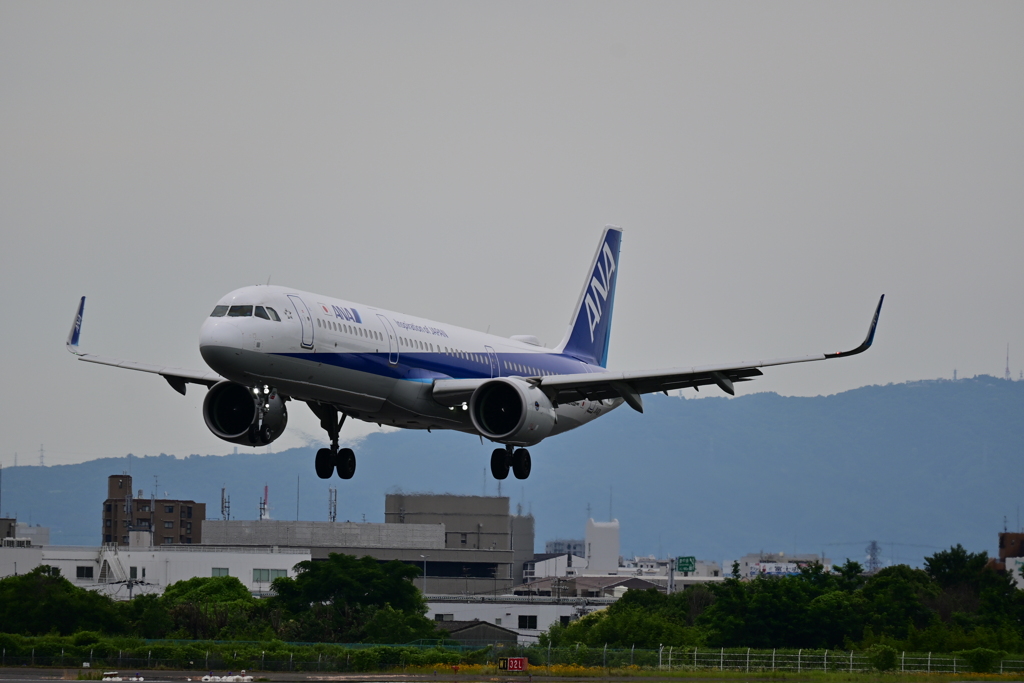 ANA