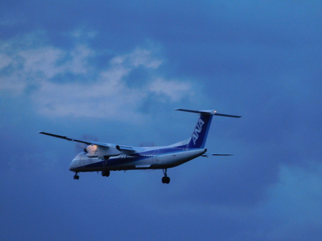 夕方の飛行機撮影
