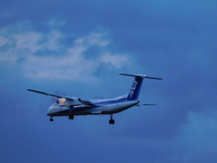 夕方の飛行機撮影