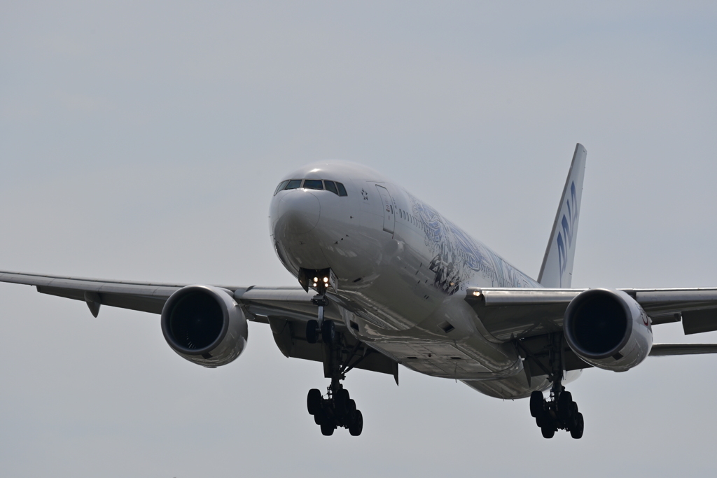 ANA鬼滅の刃飛行機