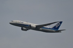 ANA