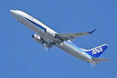 ANA
