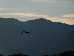 １日ありがとう。