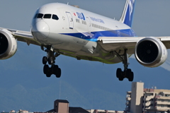 ANA