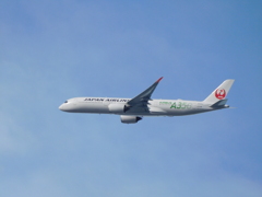 エアバス　飛行機