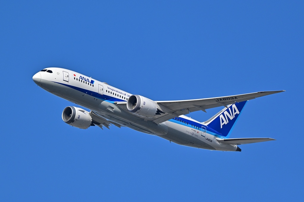 ANA
