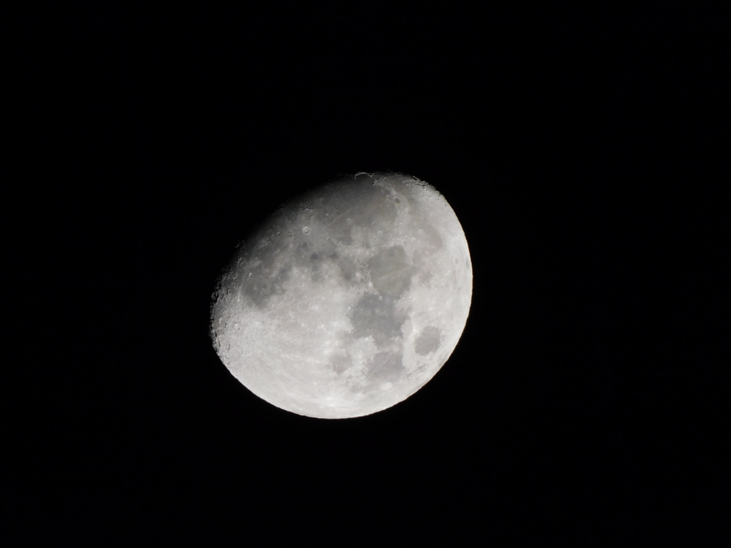 11月4日のお月様