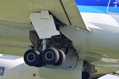 ANA