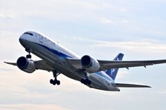 秋晴れの中のANA