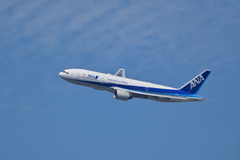 ANA