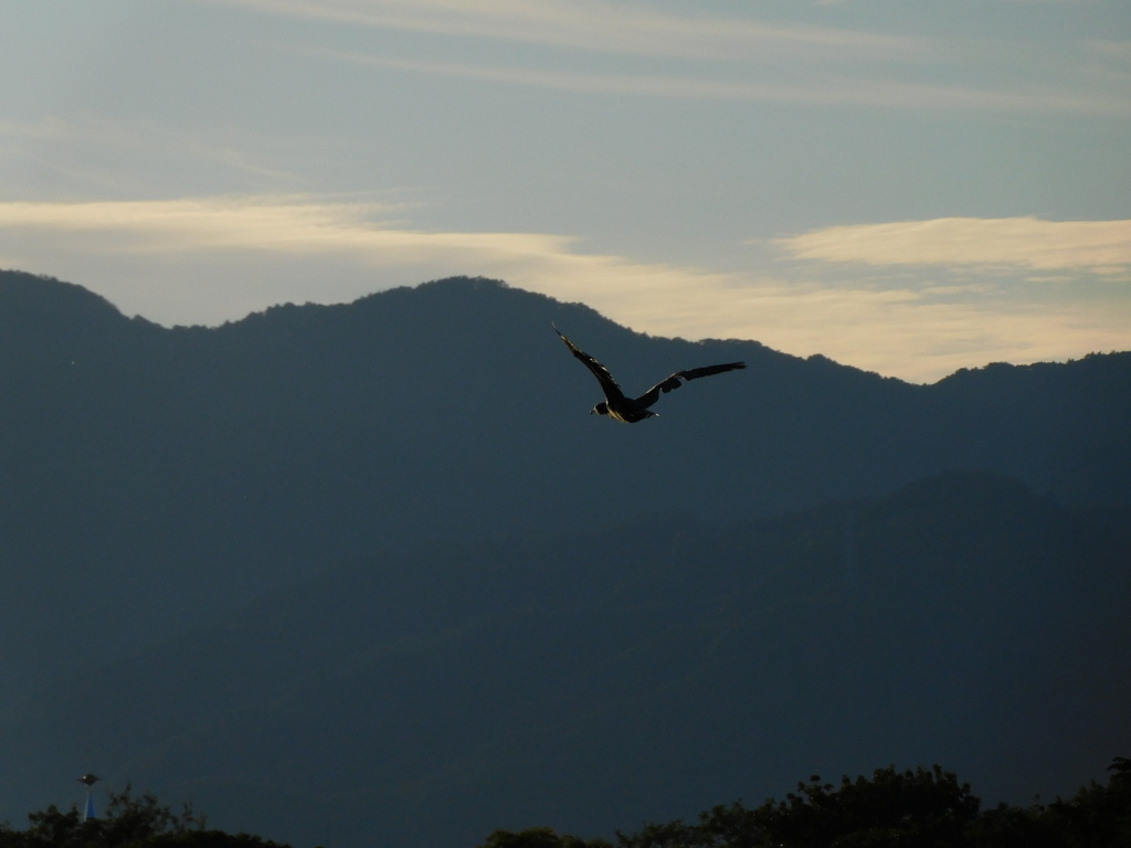１日ありがとう。