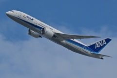 ANA