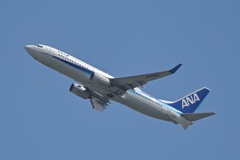 ANA
