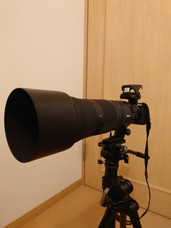 nikon Z 180-600