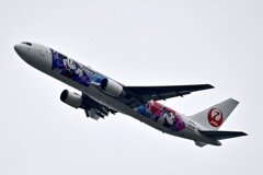JAL ディズニー仕様