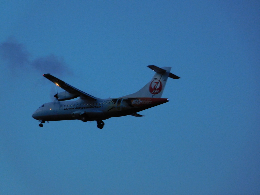 夕方の飛行機撮影