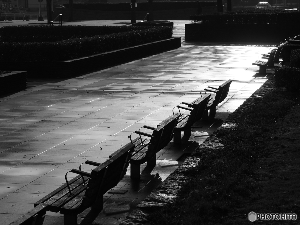 雨上がりの公園