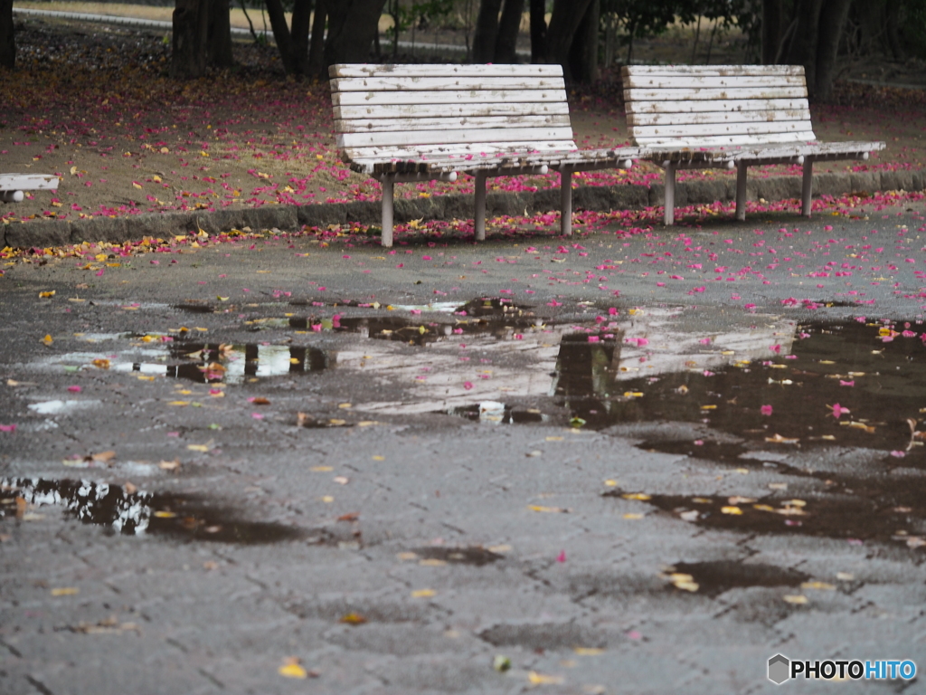 雨上がりの公園－１