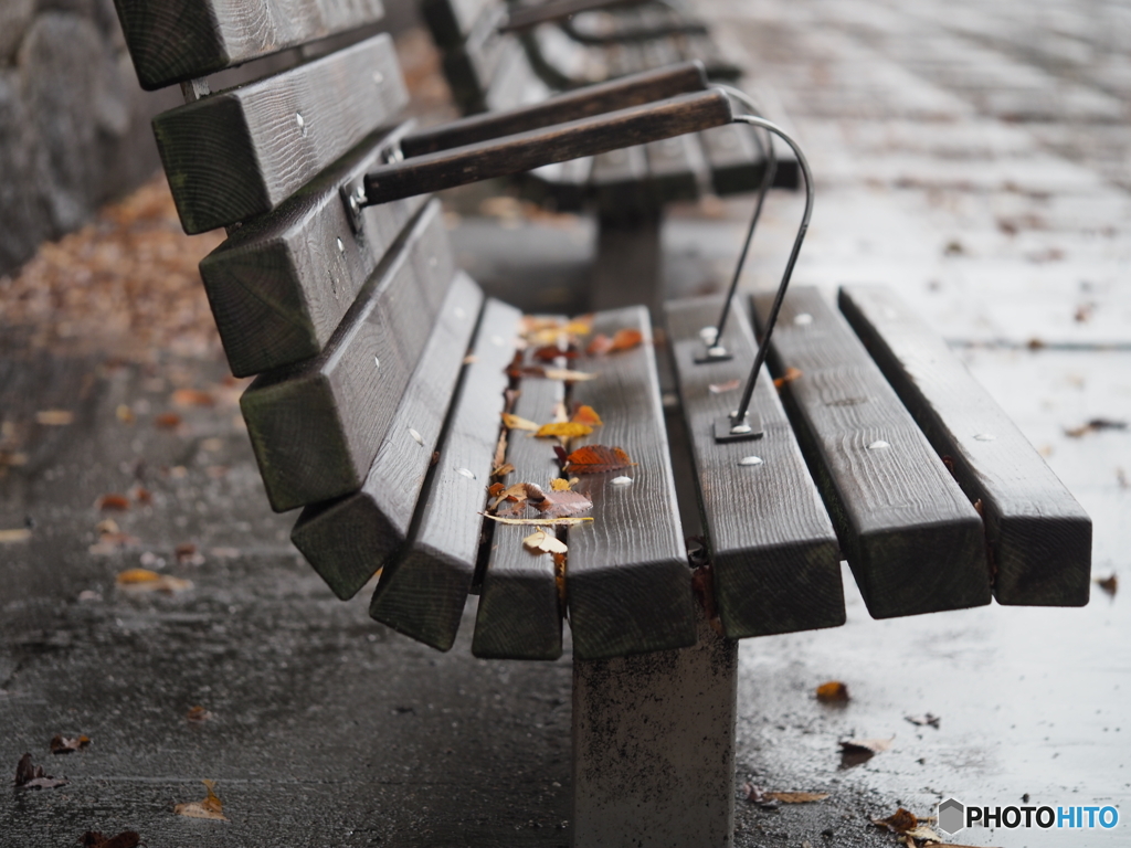 雨の公園－１