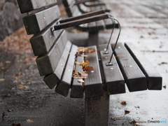 雨の公園－１