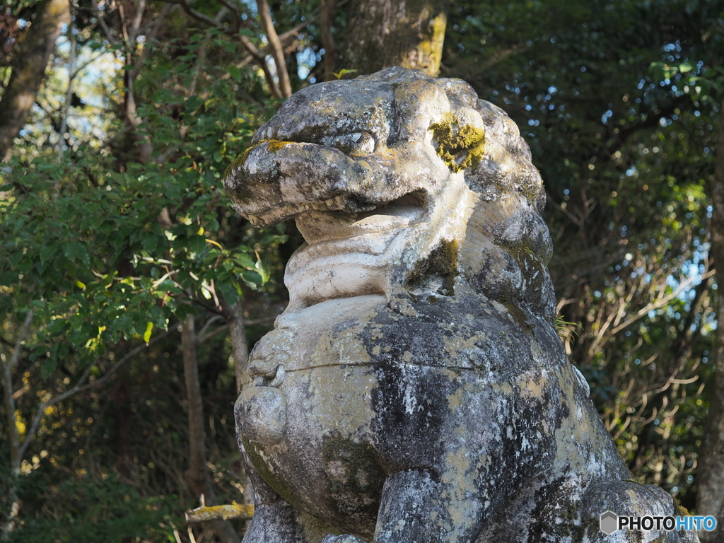 神社寸景－３