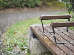 春の雨