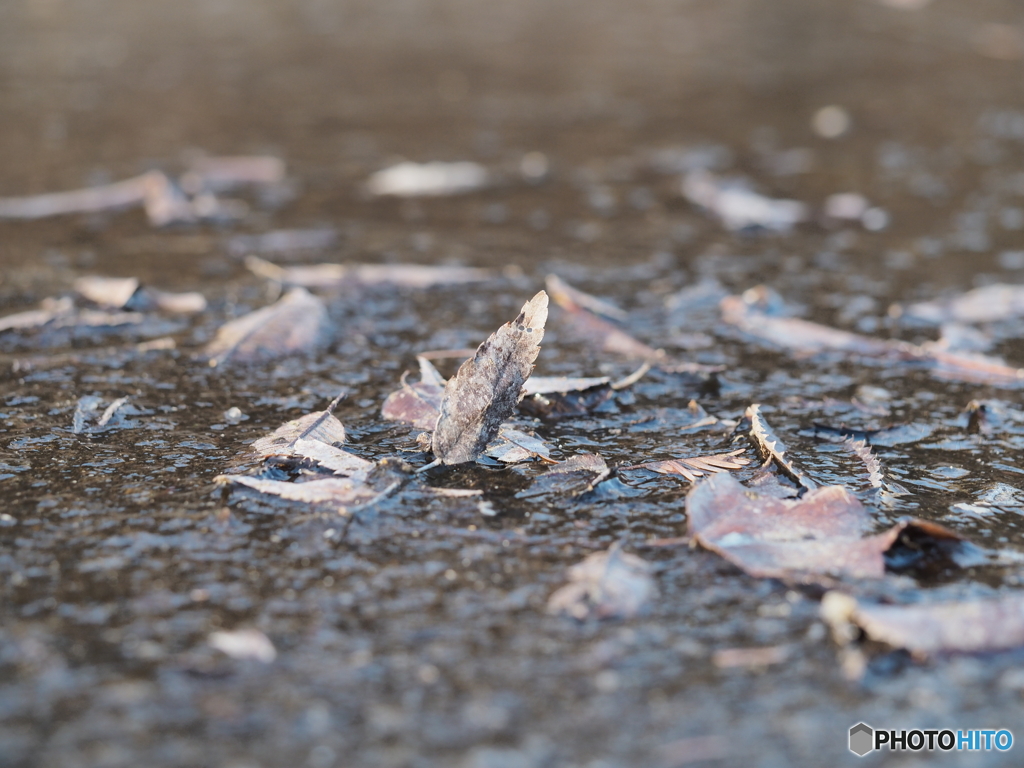 凍てついた朝－１