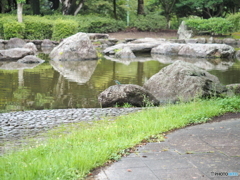 雨の合間－２