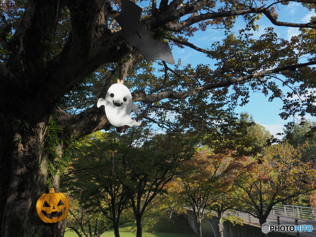 ハロウィン