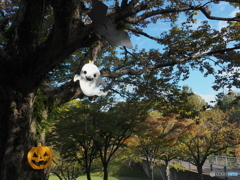 ハロウィン