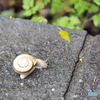 雨の後は、、、、、