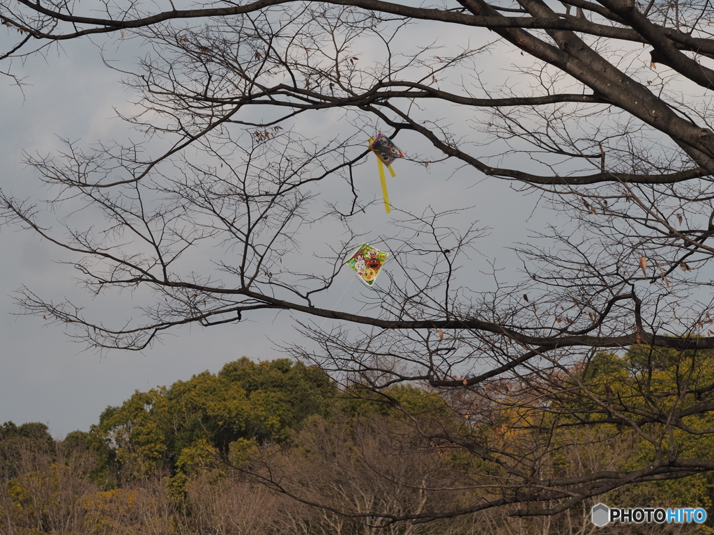 風のいたずら