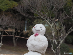 溶けた雪だるま－２