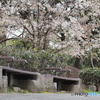 お休み処