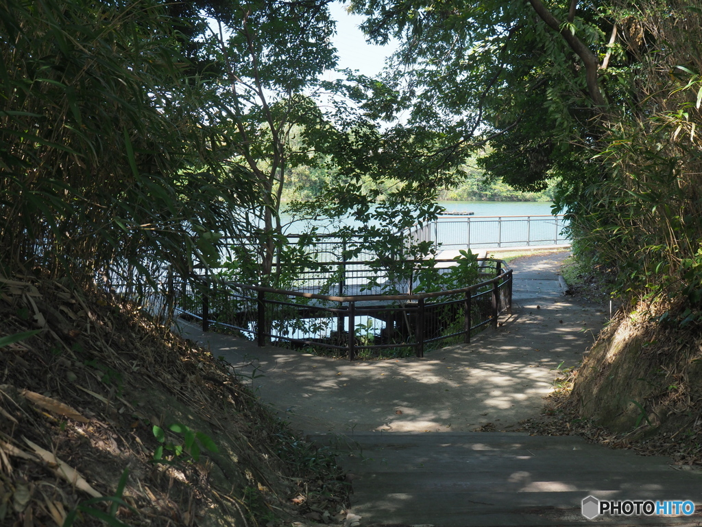 右に行こうか左がいいか