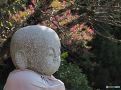 お地蔵さま