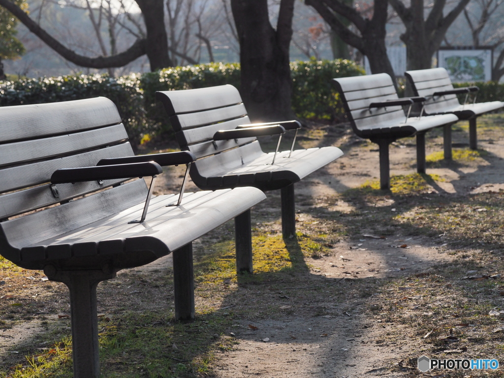 冬の公園