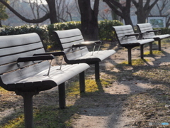 冬の公園