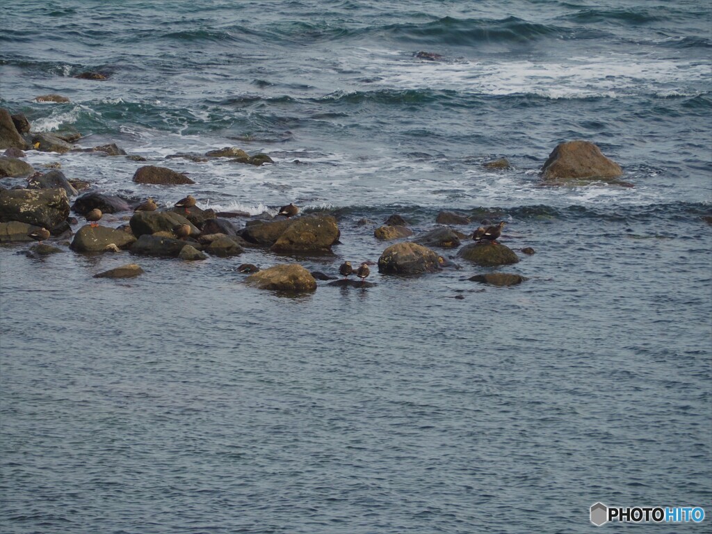雨晴海岸ー２