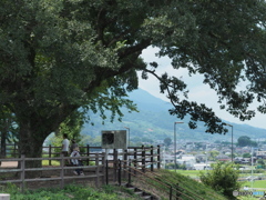 道の駅うきはー３