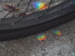 リフレクション