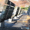 初冬の公園