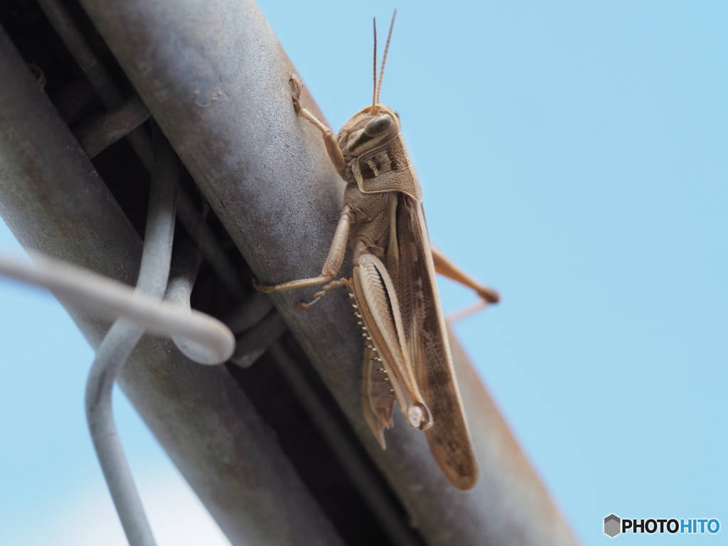 まだまだ秋－３